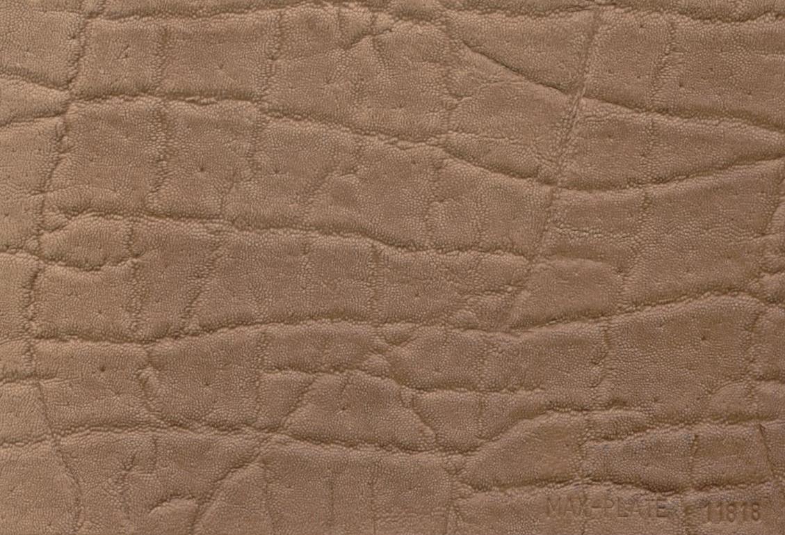 Assumenda accus antium